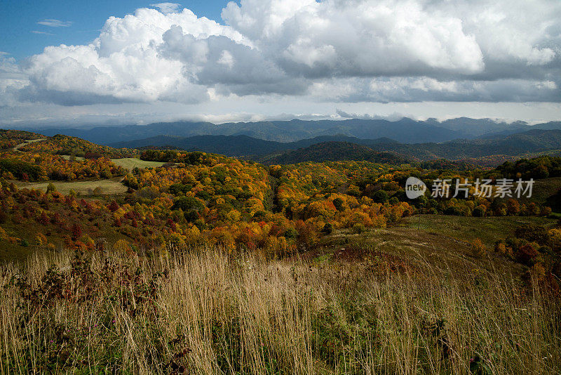 北卡罗莱纳州的Max Patch